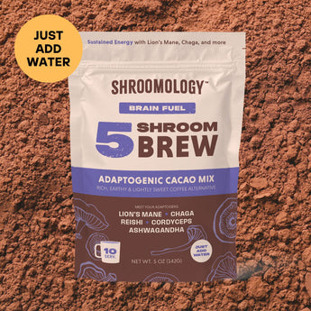 5 Shroom Brew - Adaptogenic Cacao Mix