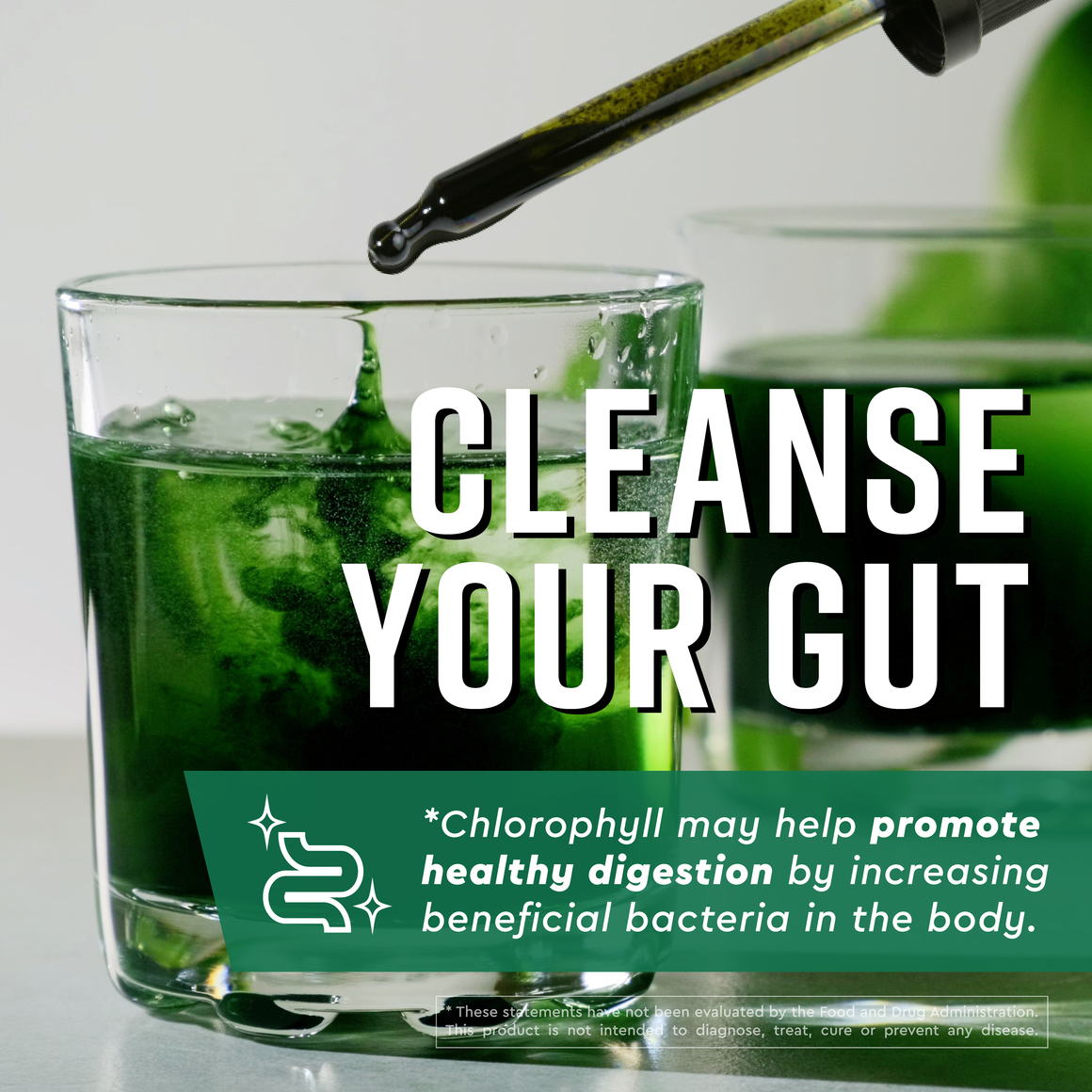 Chlorophyll + Matcha Drops 360 Nutrition